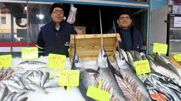 Mudanya’da Kılıç Balığı Bereketi
