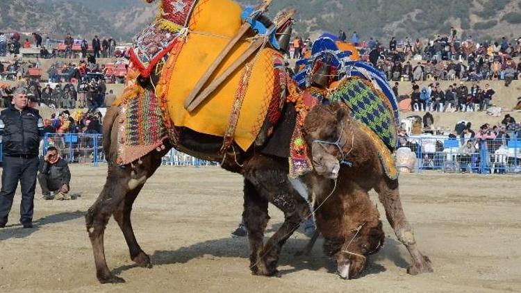 Buharkent Güreşi Festivale Dönüştü