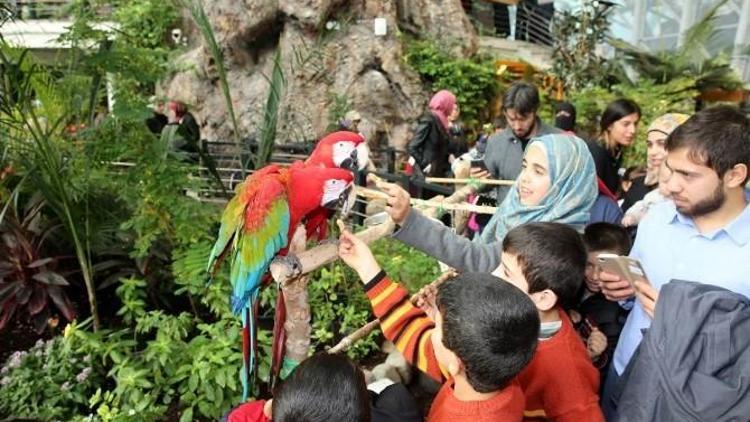 Suriyeli Yetimler Tropikal Kelebek Bahçesi’ni Gezdi