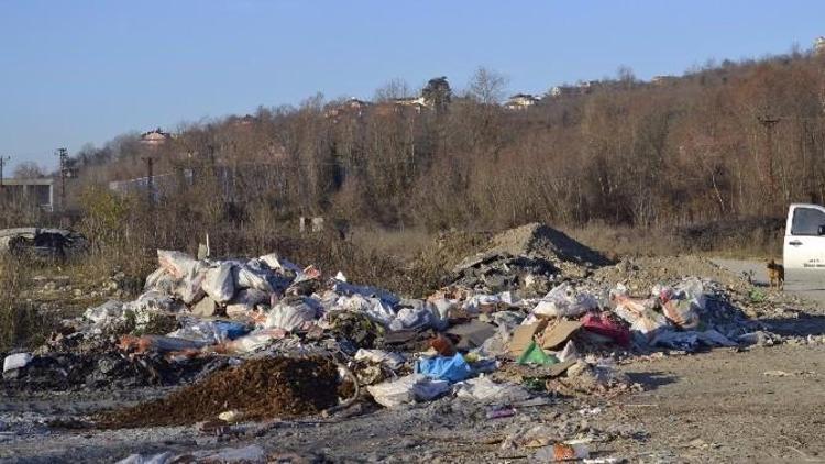 Alaplı Çayında Çevre Kirliliği Tepkisi