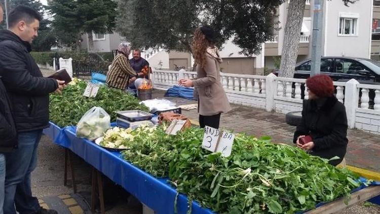 Yabani Otlar Köylülerin Geçim Kaynağı Oluyor