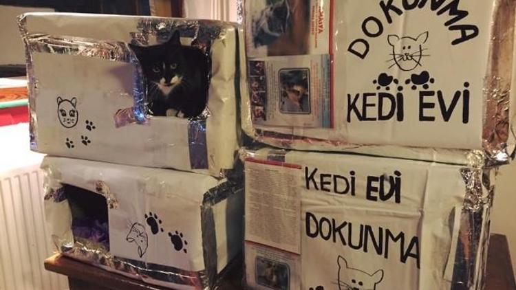 Sokak Kedileri İçin Kedievi Yaptılar