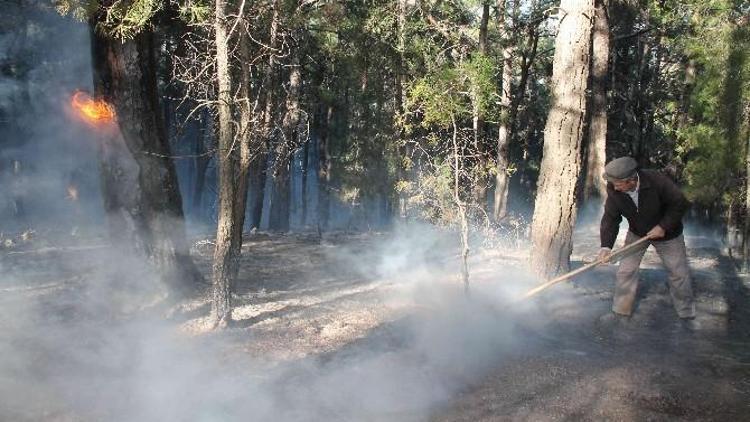 Fethiye’de Kış Ortasında Orman Yangını