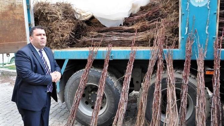 Manisa Büyükşehir’den Kırsal Kalkınmaya Destek