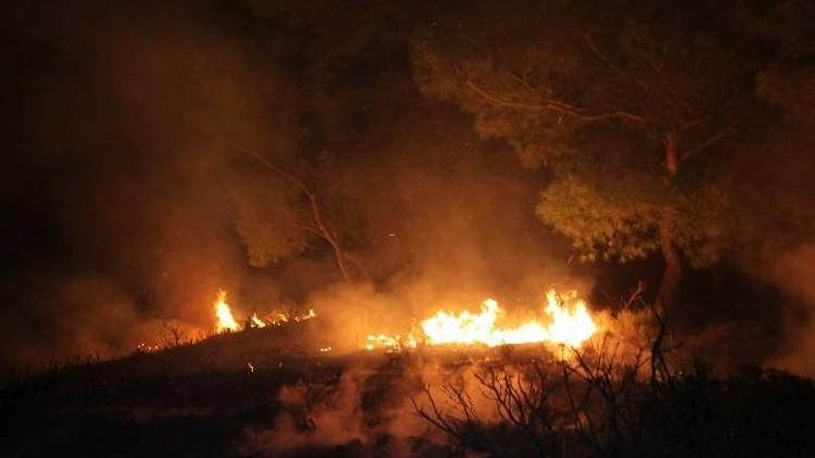 2016 Yılının Orman Yangını Fethiye’de Çıktı