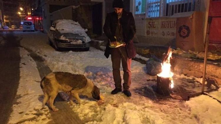 Dondurucu Soğukta Sokak Hayvanları Unutulmadı