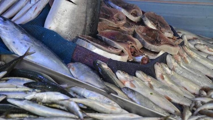 Kar Yağdı, Balık Fiyatları Yükseldi