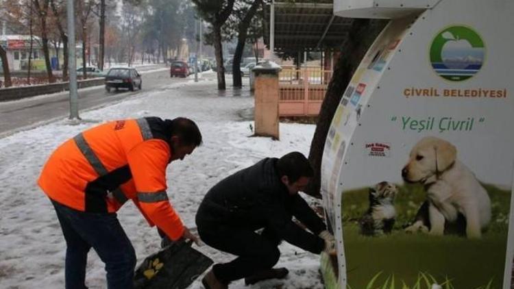 Sokak Hayvanları İçin Sokaklara Yiyecek Bırakıldı