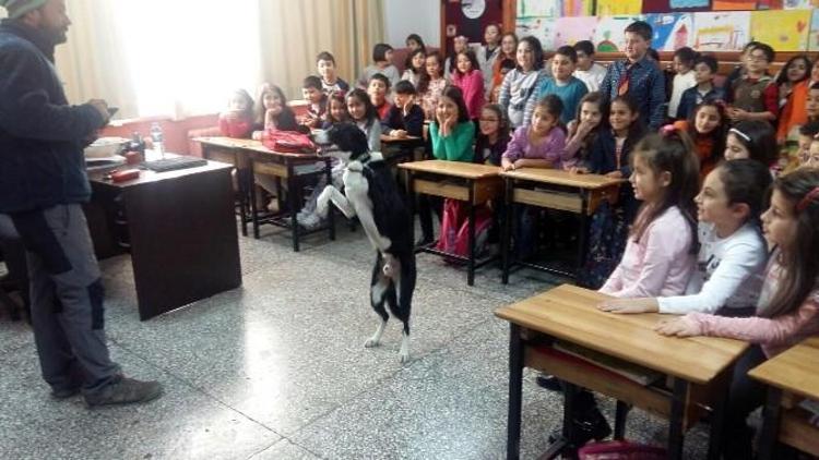 Bu Yılın İlk Hayvan Sevgisi Dersi Verildi