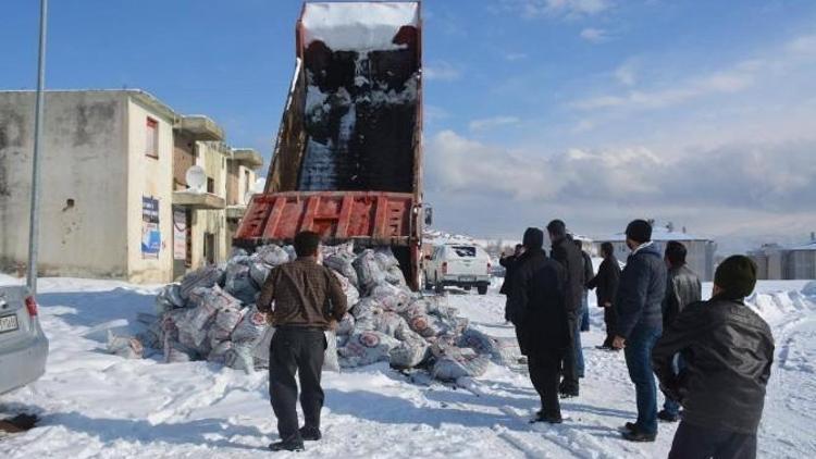 Tatvan’da Kömür Dağıtımı Devam Ediyor