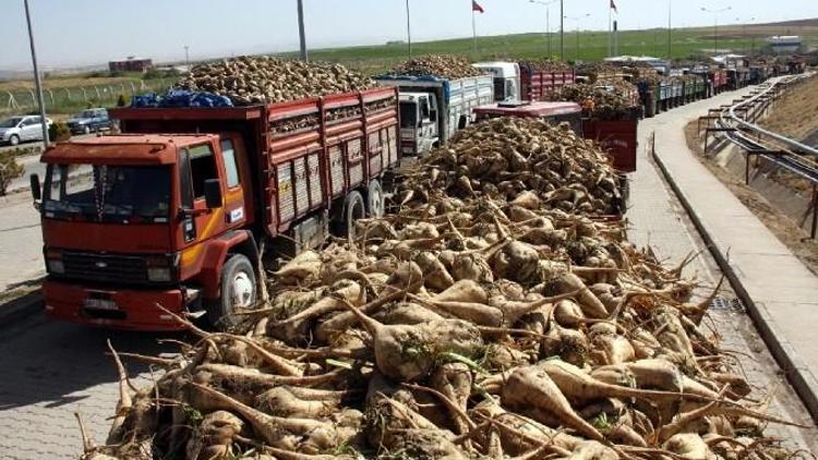 Başkan Kesber Kuş’tan Kota Esneme Hakkı Müjdesi