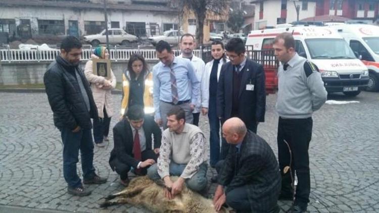 Sağlık Çalışanları Kazasız Bir Yıl İçin Kurban Kesti