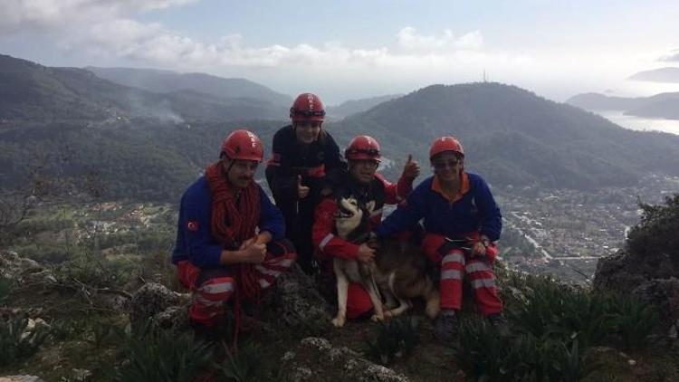 Fethiye UMKE’den Köpek Kurtarma Operasyonu