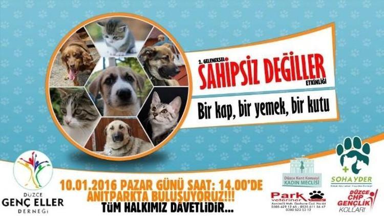 Sokak Hayvanları İçin “ Sahipsiz Değiller” Etkinliği