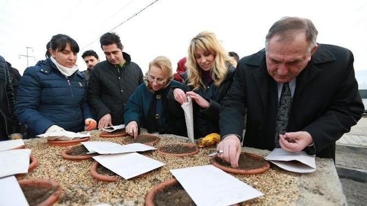 Bolu’da Endemik Bitkileri Koruma Altına Alınıyor