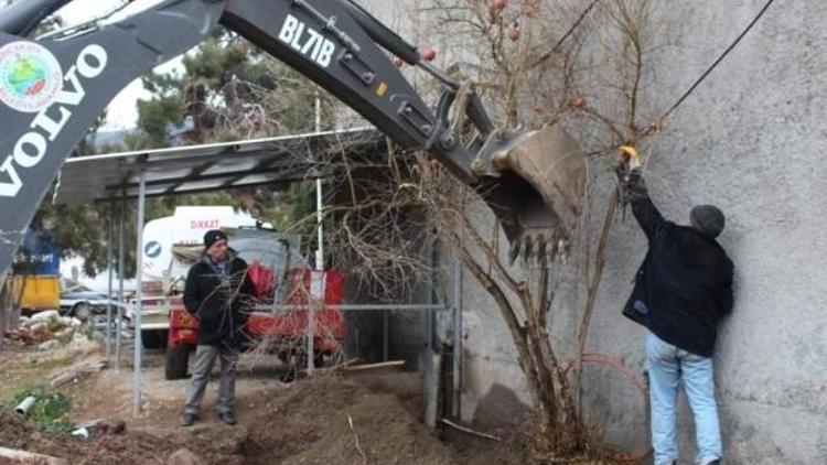 Sarıcakaya Belediyesi Çevre Düzenleme Çalışmalarını Sürdürüyor