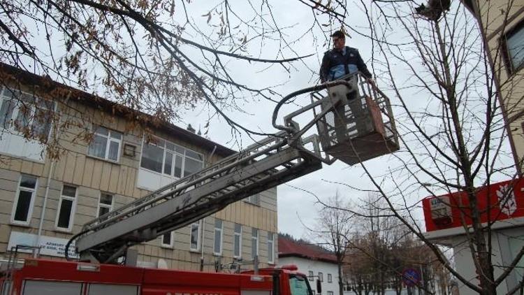 Azdavay’da İtfaiye’nin Kedi Kurtarma Operasyonu