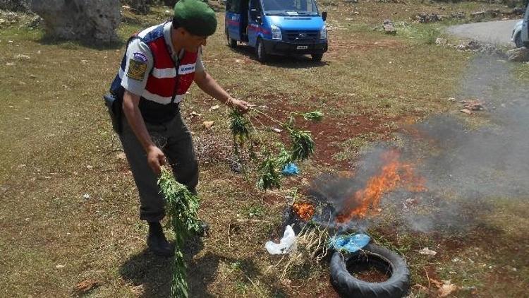 Mersin’de Jandarma Komutanlığı 2015 Yılı Verilerini Açıkladı