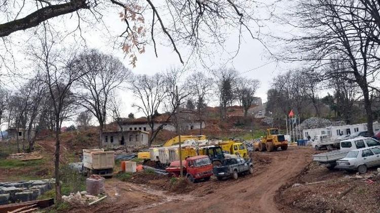 Trabzon Botanik’te Çalışmalar Devam Ediyor