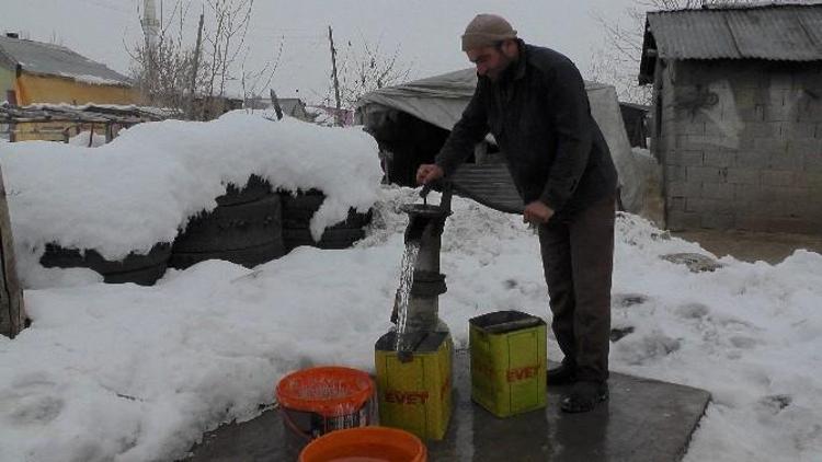 Dondurucu Soğuklar Hayvan Sahiplerini Etkiledi