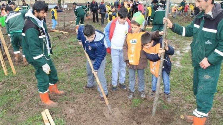 Büyükşehir Ve TEMA İşbirliğiyle Öğrenciler Fidan Dikti