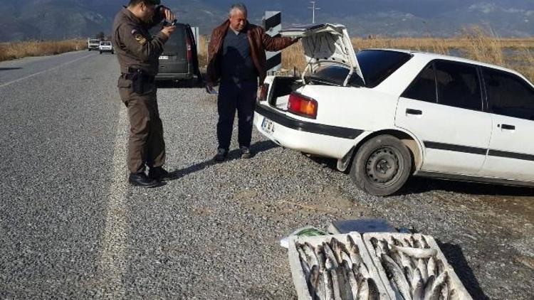 Söke’de Balık Avı Denetimleri