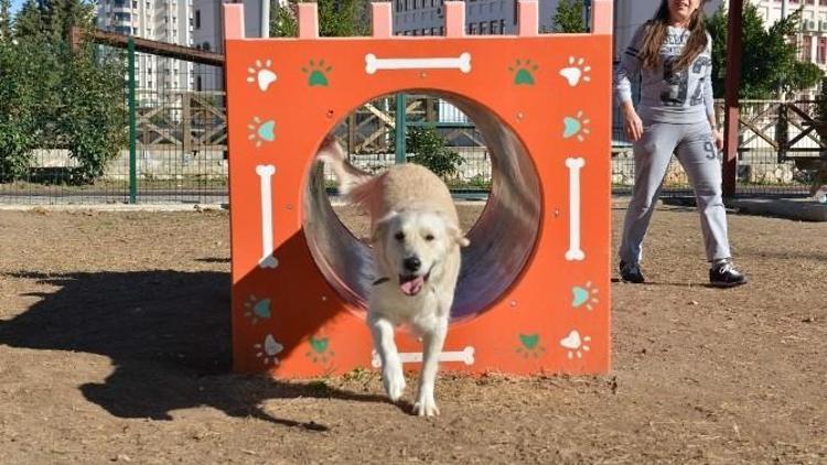 Konyaaltı Belediyesi Gürsu Köpek Oyun Parkı’nı Açtı