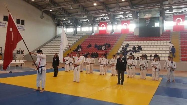 Analig Judo Müsabakalarında Van Rüzgârı