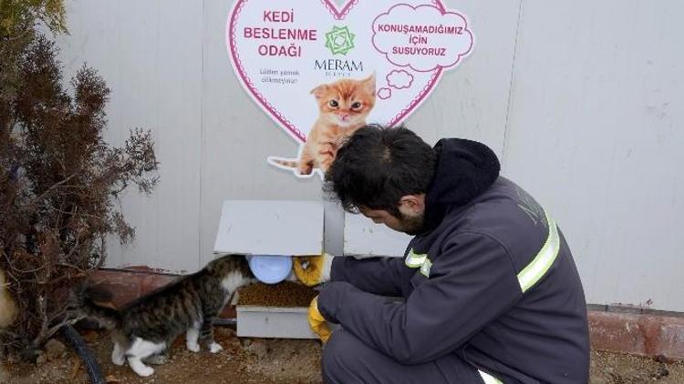 Meram Belediyesi Sokak Hayvanlarına Sahip Çıkıyor