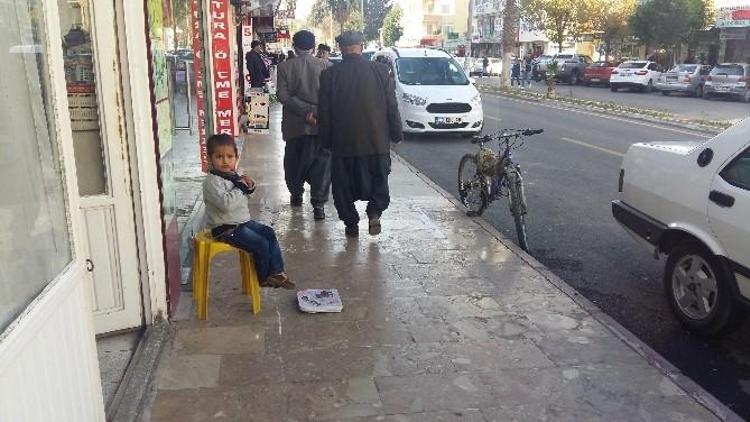 Dilendirilen Suriyeli Çocuklar Sokaklardan Toplanıyor