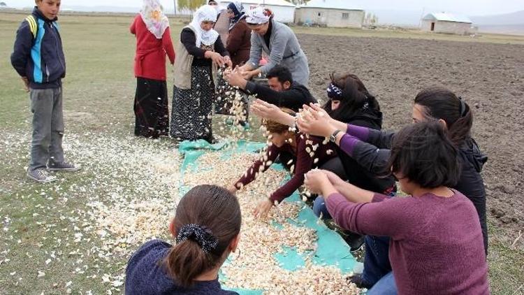 Büyükşehir Belediyesi’nden Tarımsal Kalkınmaya 6,5 Milyon TL Yatırım