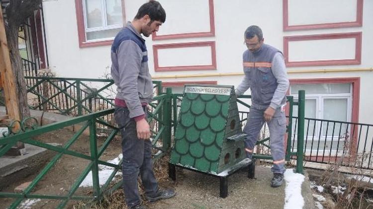 Bozüyük Belediyesi’nden Kedilere Sıcak Yuva