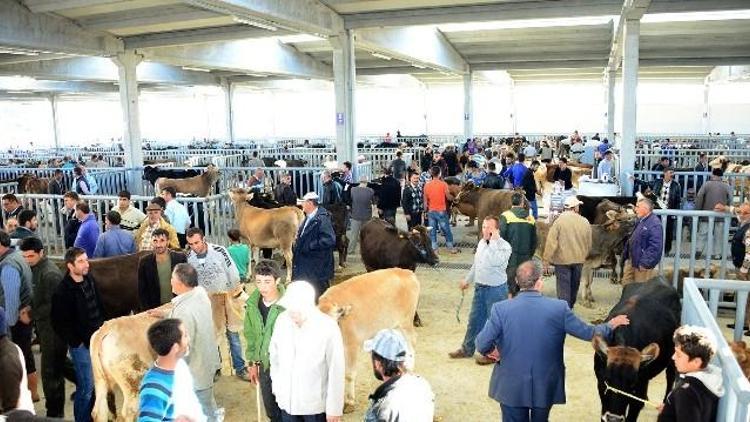 Konya’da Modern Hayvan Pazarı Ve Saman Borsası İlgi Görüyor