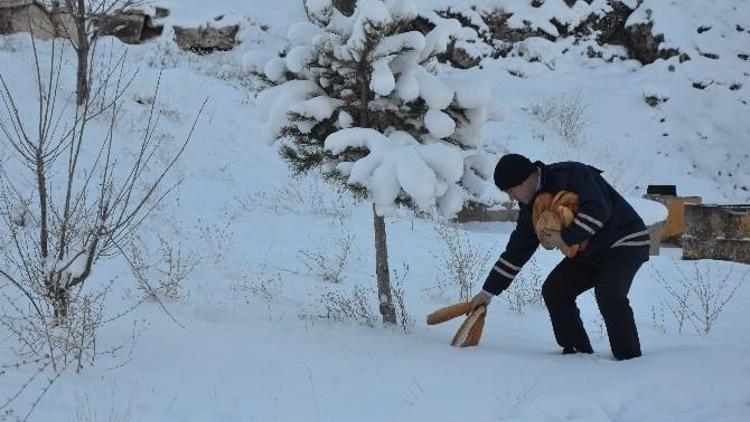 Bünyan Belediyesi Sokak Ve Yaban Hayvanları İçin Doğaya Yiyecek Bıraktı