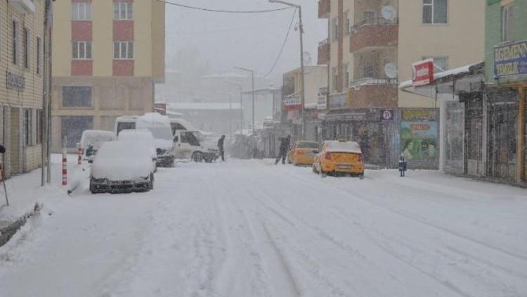 Aydınlar Beldesinde Kar Esareti