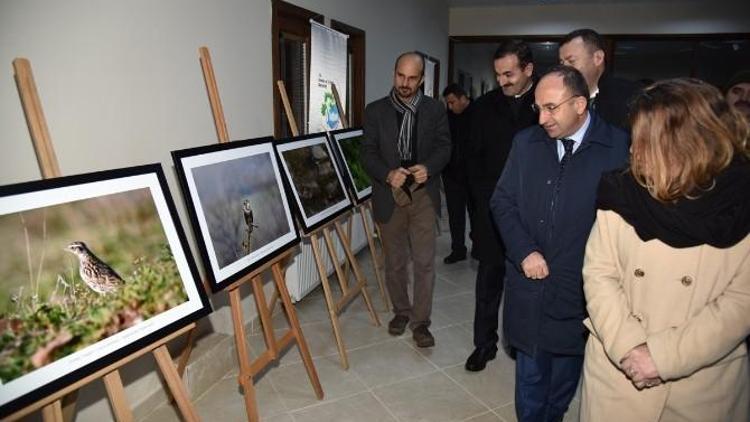 Uzuntarla Tabiat Parkı’nda Kuş Manzaraları