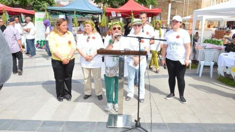 Düzce Ot Festivalinin İkincisi Yapılacak