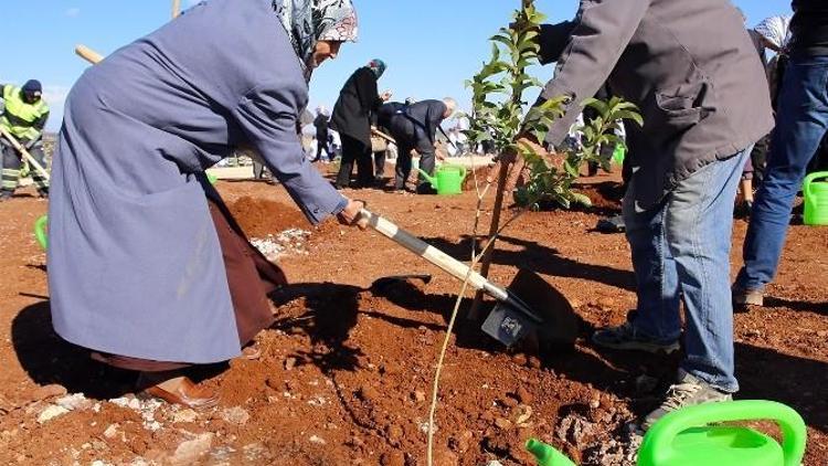 ‘Bi Dünya Yeşil’ Şehitkamil İle Büyüyor