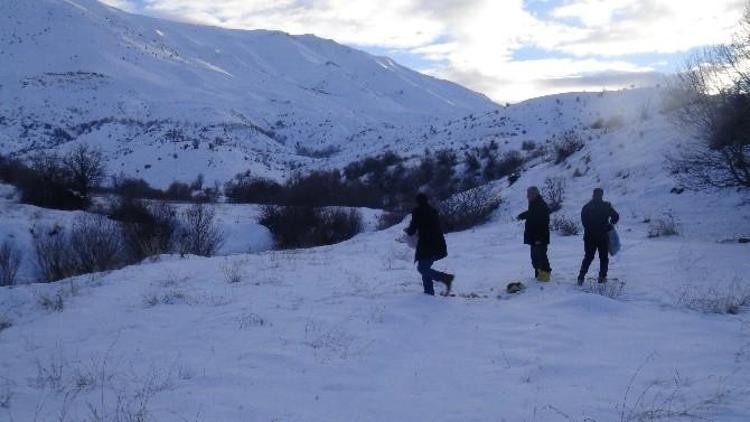 Başkan Vahap Küçük, Yaban Hayvanları İçin Doğaya Yem Bıraktı