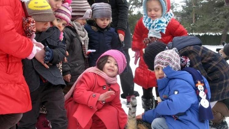 Çubuklular TEK Yürek Oldu, Yabana Can Verdi