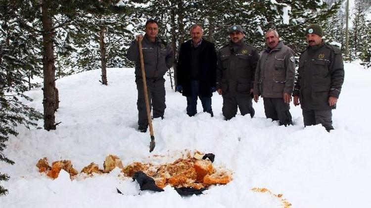 Gümüşhane’de Yaban Ve Sokak Hayvanlarının Yemleme Çalışmaları Devam Ediyor