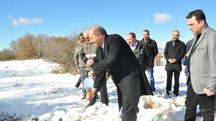 Çorum’da Yaban Hayvanları İçin Doğaya Yem Bırakıldı