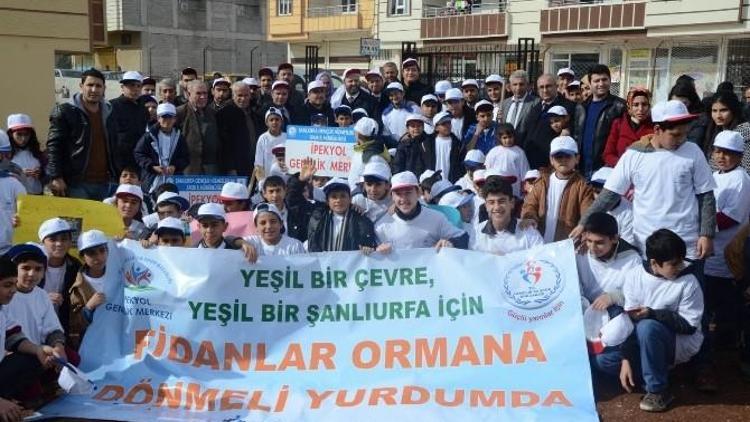 Öğrenciler Ve Cami Cemaati Fidan Dikti