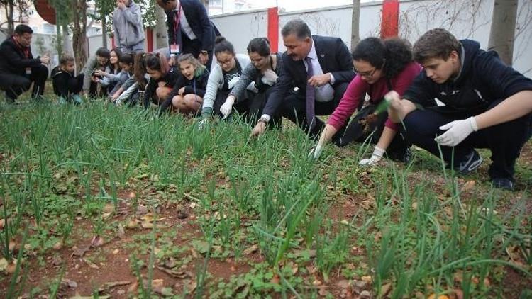 Başkan Tuna, Öğrencilerle Diktiği Sebzelerden Topladı