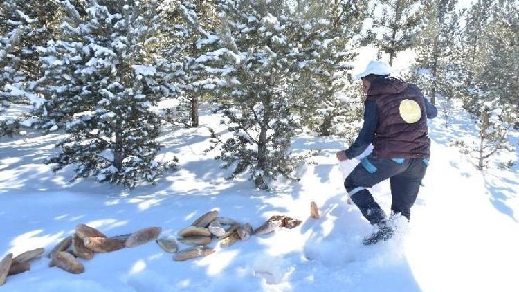 Ertansa’dan Sosyal Sorumluluk Örneği