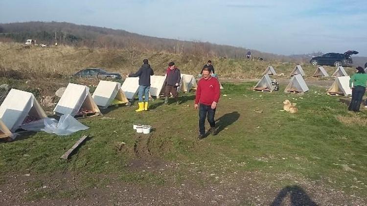 Kartepe’de Sokak Hayvanlarına Kulübe