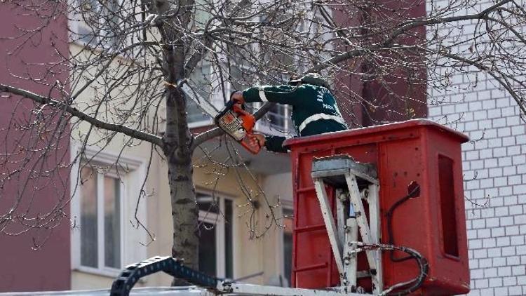 Bağcılar’da Yeşil Çevre Seferberliği