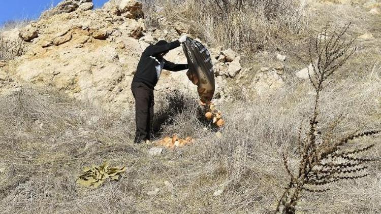 10 Bin Kilo Ekmek Çöpe Atmaktan Kurtarıldı