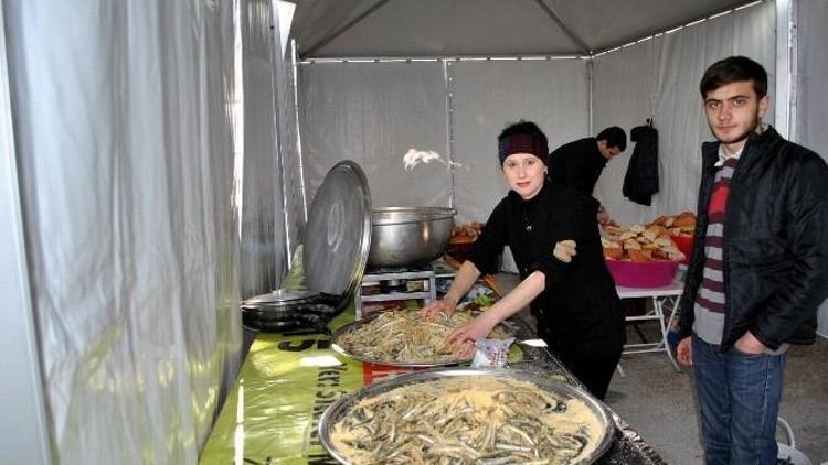 Mudanya Karadenizliler Festivali’nde 1 Ton Hamsi Dağıtıldı