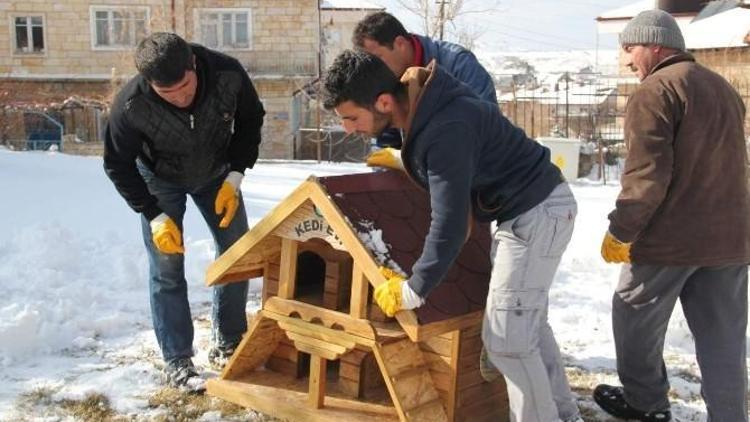 Nevşehir Belediyesinden Kedilere Özel Ev